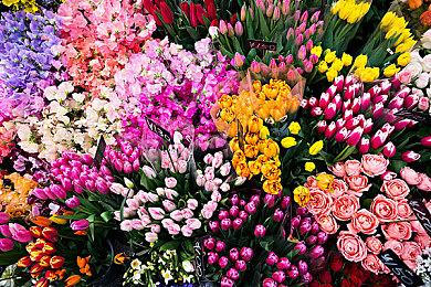 公交车模拟游戏《Bus Bound》2026年发售 《巴士模拟》原班人马